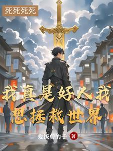 我真的是好人快穿24
