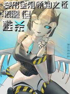 变形金刚领袖之证顺序