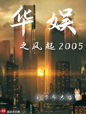 华娱之风起2005有几个女主