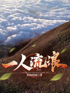 歌词一个人流浪