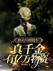 相亲闪婚的宠文