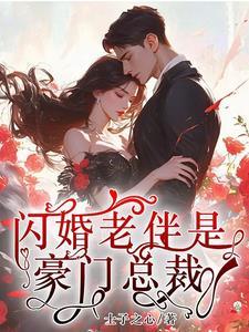 闪婚老公是总裁