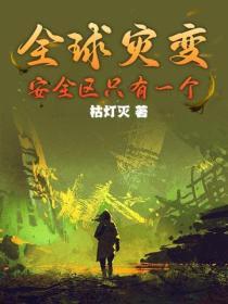 全球灾变避难所无限升级第八区