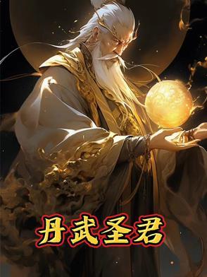 丹武圣君免费阅读