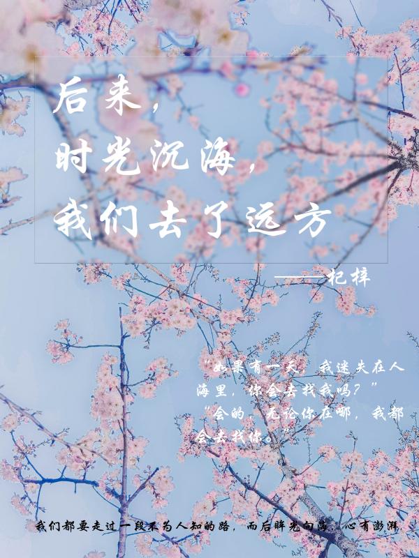 后来我们相遇在人海