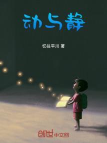 动与静的作文