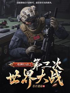三角洲 装备