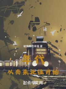 年代从南来北往开始全文免费阅读