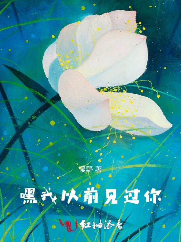 我以前见过他用英语怎么说