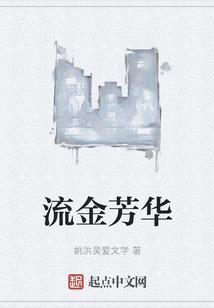 流金年华是什么意思