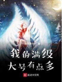 满级大号是什么意思
