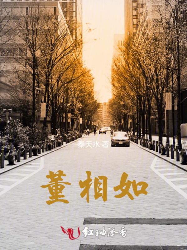 董相如个人简历