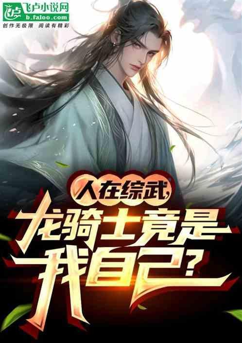 人在综武龙骑士竟是我自己