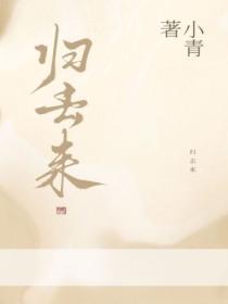 归去来剧情介绍分集