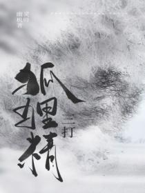 三打白骨精黑狐狸精