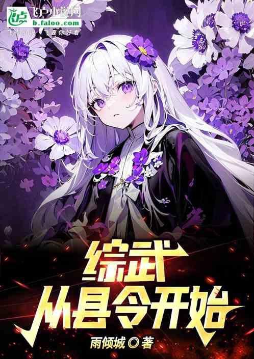 穿越之从县令做起