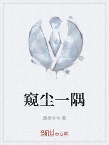 窥见一隅什么意思