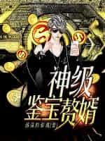神级鉴宝赘婿 游荡的游魂