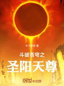 斗破苍穹之圣阳天尊百度百科