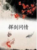 挥剑问情剧情介绍
