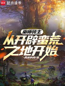 巫师领主类