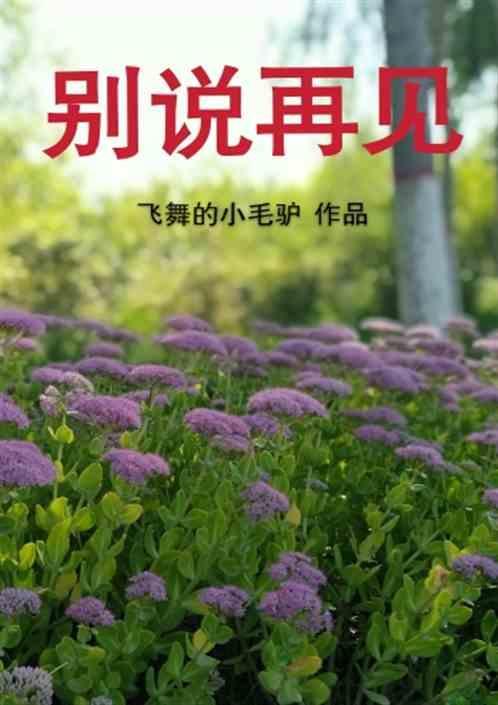 再见之前别说再见
