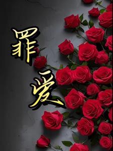 孝婷吧新续