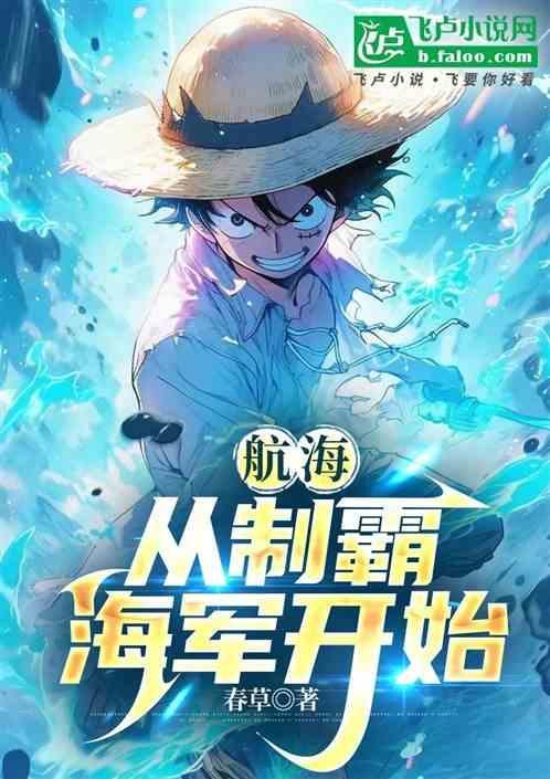 制霸从海贼王开始第八区