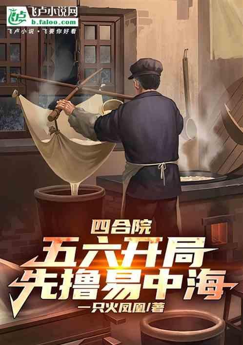 四合院开局打何雨水