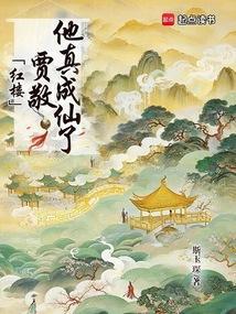 红楼梦中贾敬是谁?