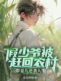 假少爷被赶回农村带妻儿逆袭人生谢昭