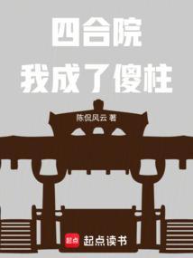 四合院我成了傻柱陈侃风云