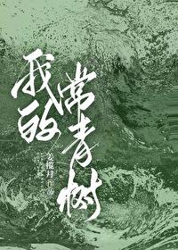 做我的常青树讲的什么
