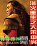 浴火重生之大宋中兴 样样稀松