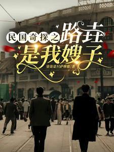 民国奇探名
