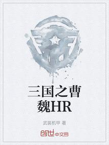 三国之曹魏后期