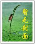 欢乐英雄武功排名