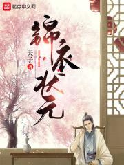 锦衣含义