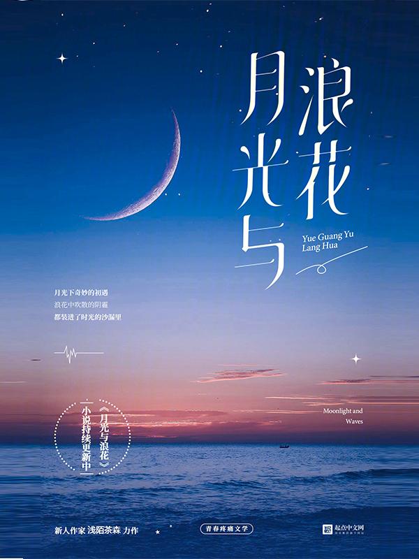 月光与海
