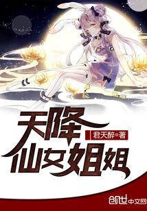 天降仙女姐姐原版塑料壳