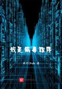 我是病毒程序员英语