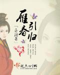 雁引春归讲了什么