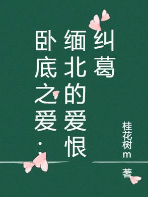 缅甸卧底警察遇害