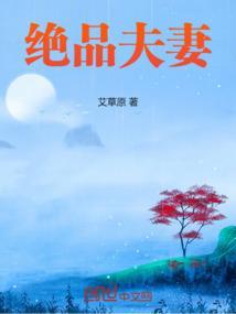 绝佳夫妻