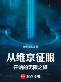 穿越维京当
