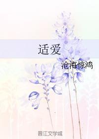 适爱美