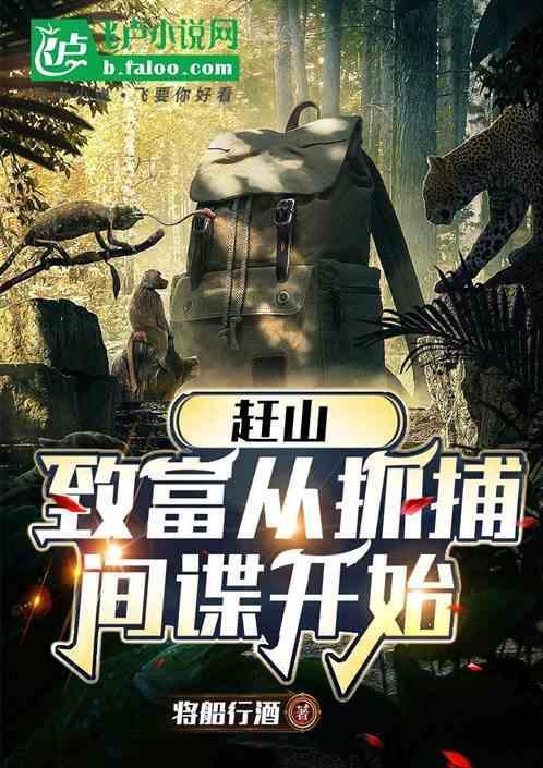 赶山片区控制性规划图