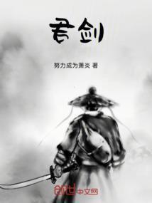 君剑尘世