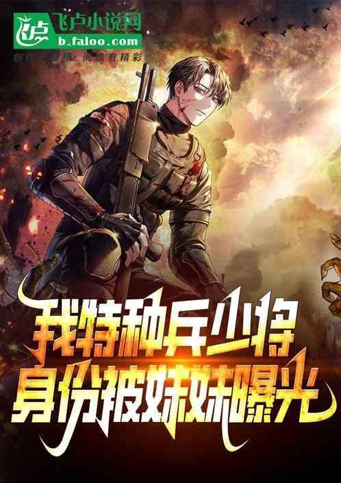 特种兵我的少将身份