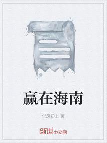 海南中赢集团